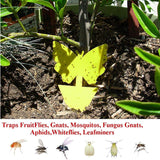 5 Pack - Sticky Yellow Butterfly Bug Traps for - Fruit Fly, Gnat Trap, White Flies, Mosquito, Fungus Gnats, Flying Insects Indoor/Outdoor Use