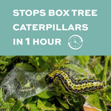 PLANT GP Box Tree Moth Caterpillar Treatment, Safe for Bees and birds, Environmentally Friendly effective control