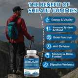 9000MG Shilajit Gummies, Sugar Free Himalayan Shilajit Supplement Shilajit Gummy for Men & Women with 85+ Trace Minerals & Fulvic Acid - Energy, Brain, Immunity Support