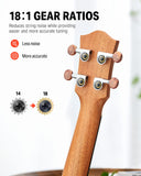 Donner Soprano Ukulele Mahogany 21 inch Ukelele Beginner Kit Online Lesson Gig Bag Strap Nylon String Tuner Picks Cloth DUS-1 Ukalalee Set Christmas Gift