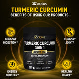 30 in 1 Turmeric Curcumin + Ginger Capsules, 95% Curcuminoids, Equivalent to 20000mg, with Ginger, Ginseng, Bromelain, Moringa, Black Pepper, Joint & Absorption Support - 120 Capsules