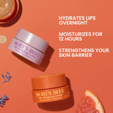 Burt’s Bees Lavender Vanilla Lip Sleeping Mask, With Hyaluronic Acid and Squalane Moisturizer To Instantly Hydrate Lips, Overnight Lip Mask, Lip Treatment, 0.45 oz.