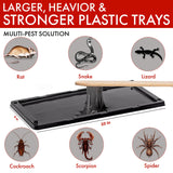 Trapsters USA Mouse & Rat Plastic Glue Traps (10CT) - 5x10 Inches, Pre-Baited, Non-Toxic, Pet-Safe Adhesive Plastic Boards for Home & Office - Indoor Pest Control for Mice (Unscented)