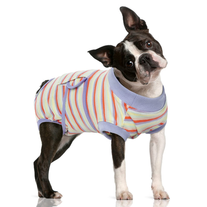 FUAMEY Recovery Suit for Dogs After Surgery,Soft Breathable Dog Bodysuit E-Collar & Cone Alternative Surgical Suit,Male Female Dog Neuter Spay Suits Anti Licking Wounds Onesie Purple Stripes L