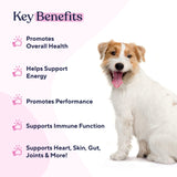 Pawfy Multivitamin Chews | 15 in 1 Premium Supplement | Immunity | Joints | Skin | Coat | Energy | with Vitamins, Oils & Minerals