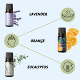 Folkulture Essential Oil Set for Diffuser, Set of 6 Pure Essential Oils for Diffusers for Home, Aromatherapy Diffuser Oil Scents - Lavender Peppermint Tea Tree Orange Lemongrass Eucalyptus -Good Vibes