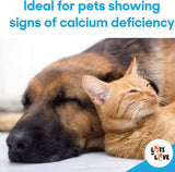 Calcium Now - Oral Calcium for Whelping Dogs - Dog & Cat Calcium Supplement Paste - Lots of Love (Vanilla, 30 ml Paste) (Pack of 2)