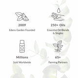 Edens Garden Home Sweet Home Essential Oil Blend, Best for for Diffusers & Diffusing, 100% Pure & Natural Best Recipe Therapeutic Aromatherapy Blends- Diffuse or Topical Use 10 ml