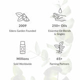 Edens Garden Breath of Fresh Air Essential Oil Blend- 100% Pure Premium Grade, Undiluted, Natural, Therapeutic, Aromatherapy, The Best for Skin, Humidifiers, Candle 30 ml (1 fl oz)