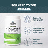 Ancient Nutrition Vegetarian Collagen Peptides, Collagen Peptides Powder, Collagen Powder with Natural Flavor, Prebiotics and Probiotics, Supports Healthy Skin, Hair, Joints, Digestion, 28 Servings