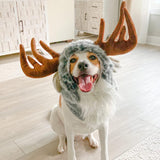 Funny Moose Costumes for Dog, Cute Furry Pet Wig for Halloween Christmas, Pet Clothing Accessories (Moose, Size L)