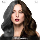 KINGMING Hair Dye Shampoo 3 in 1 for Gray Hair, Hair Color Shampoo for Women Men Grey Hair Coverage, Herbal Ingredients Champu Con Tinte Para Canas 500ml (Chestnut Brown)