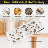 TRAP IT! Pantry Moth Traps, 10 Pack Sticky Glue Trap Indoor with Pheromones to Attract an