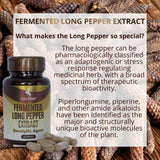 CellFend Fermented Long Pepper Extract – Senolytic Agent – with Piperlongumine – Potent 30:1 Extract - 60 Vegan Capsules (500mg)