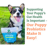 Doggie Dailies Puppy Probiotic | Probiotics for Puppies with Digestive Enzymes, Promotes Digestive Health, Supports Immune System & Overall Development | 120 Soft Chews