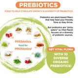 Vital Planet - Vital Flora Advanced Biome Probiotic 100 Billion CFU, 100 Diverse Strains, 10 Organic Prebiotics, Immune Support, Colon and Digestive Health Probiotics for Women and Men 30 Capsules