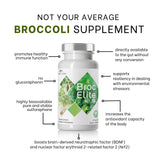 Mara Labs Broc Elite Plus | Broccoli Supplement w/Stabilized Sulforaphane Extract | Zero Glyphosate Residue | 30 Vegetable Capsules