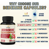 (10 Month Supply) 2 Packs Berberine Supplement 6-in-1-300 Caps - Plus Ceylon Cinnamon, Milk Thistle, Turmeric, Artichoke - Berberine HCl