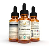Khroma Herbal Products Organic Bladderwrack - 2 oz Liquid in a Glass Bottle - 30 Servings