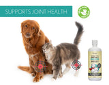 Oliméga Farm, Camelina Oil for Dogs and Cats, 8.5 fl oz., Rich in Omega-3, Vitamin E. Pure & Cold Pressed - Natural Support for Your Dog's and Cat's Health. Joints, Coat and Skin. Made in Canada.