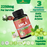 Organic Amla Capsules 2250mg & Arjuna, Garlic |Natural Vitamin C Supplements, High Antioxidants, Rejuvenator |Supports Immunity, Energy Booster |Gluten Free Vegan India Amalaki Extract Fruit, 120 Caps