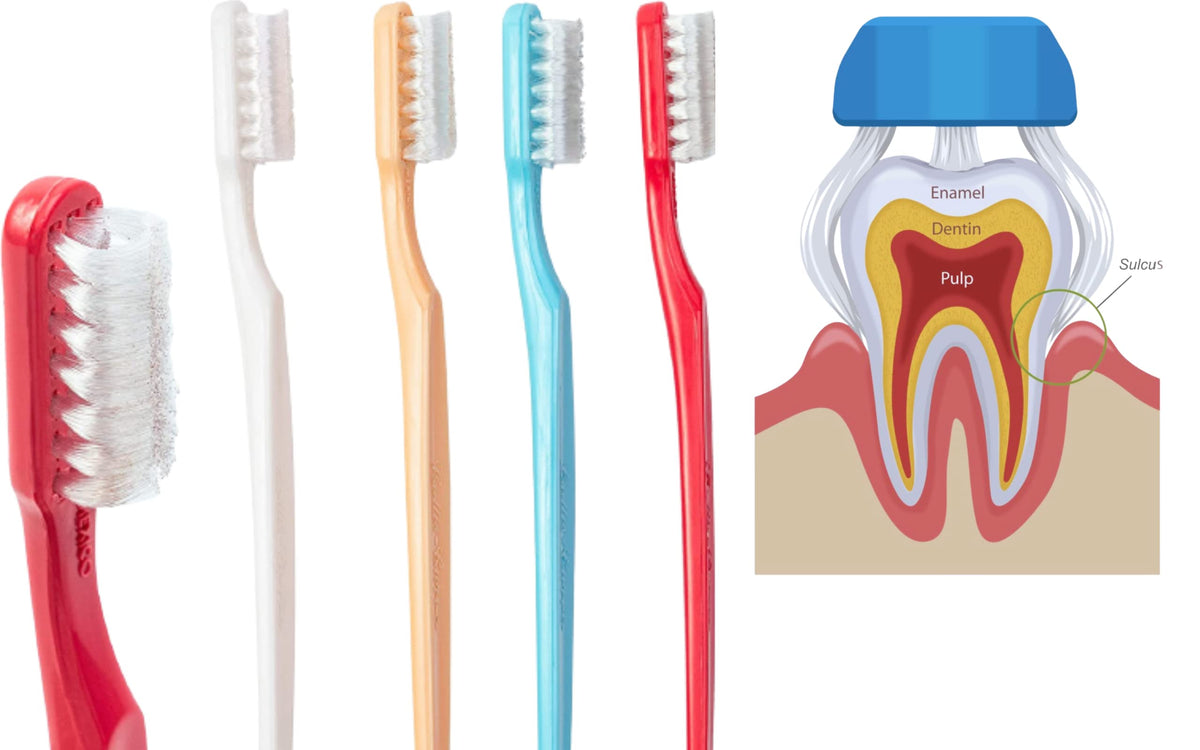 Collis Curve - Soft 3 Sided Toothbrush - Orthodontic Toothbrushes - So