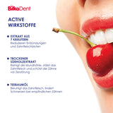 Bilkadent Expert Parodont Active Toothpaste with Antiparadontitis Action -75ml