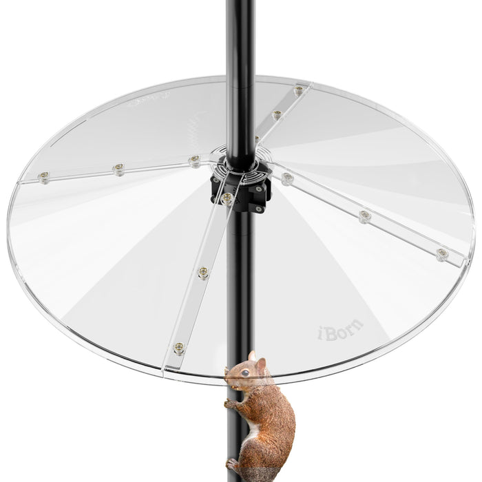 iBorn Squirrel Baffle for Bird Feeder Pole, 19.5” Oversized Squirrel Guard Defender, Bird Feeder for Outdoors Protector, Polycarbonate(PC), Pack of 1, Clear