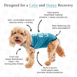 BellyGuard - Dog Recovery Suit, Post Surgery Dog Onesie for Male and Female Dogs, Comfortable Cone Alternative for Large and Small Dogs, Soft Cotton Covers Wound, Stitches. Patented Easy Potty System.