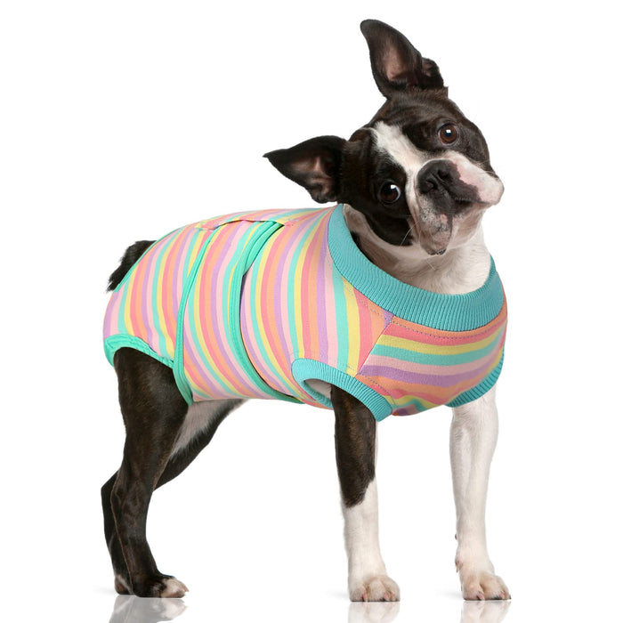 FUAMEY Recovery Suit for Dogs After Surgery,Soft Breathable Dog Bodysuit E-Collar & Cone Alternative Surgical Suit,Male Female Dog Neuter Spay Suits Anti Licking Wounds Onesie Mint Green Stripes L