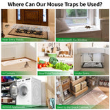 6 Pack 47 * 11 in Large Rat Traps, Heavy Duty Sticky Mouse Traps for House Indoor, Extra Strength Snake Traps for Mice Rat Snake Roach Lizard Spider Scorpion and Other Pests