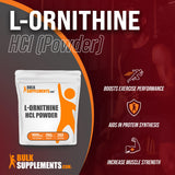 BULKSUPPLEMENTS.COM L-Ornithine HCl Powder - L-Ornithine Hydrochloride - L Ornithine Powder - Amino Acids Supplement - 1000mg of Ornithine HCl per Serving, 250 Servings (250 Grams - 8.8 oz)