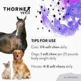 ThorneVET B ComplexVET – Vitamin B Complex Support for Dogs, Cats & Horses, 60 Soft Chews