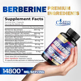 Organic Cadane Berberine Supplement 14800mg with Ceylon Cinnamon, Quercetin, Black Pepper & More - Supports Heart, Digestive, Body & Immune - 90 Capsules for 3 Months