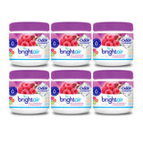 Bright Air Solid Air Freshener and Odor Eliminator, Wild Raspberry and Pomegranate Scent, 14 Oz Each, 6 Pack