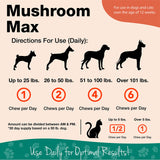 NaturVet Mushroom Max Advanced Immune Support Dog Supplement – Helps Strengthen Immunity, Overall Health for Dogs – Includes Shitake Mushrooms, Reishi, Turkey Tail – 60 Ct.