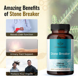 HERBAMAMA Stone Breaker Chanca Piedra Pills - Organic Chanca Piedra Stone Breaker Kidney Stones Dissolver - Kidney & Gallbladder Cleanse - 1200mg, 100 Capsules
