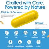 Nutradora Vitamin B Complex with Vitamin C - B Complex Vitamins for Men and Women, 11-in-1 B-Complex for Brain & Energy Support, Immune & Nervous System Support - Non-GMO, 60 Vegetarian Capsules