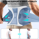 NEENCA Back Support Brace, Adjustable Lumbar Support Belt with Patented Bionic Support System, Waist Wrap for Lower Back Pain Relief, Injuries, Sciatica, Scoliosis, Herniated Disc, Heavy Lifting, Work