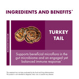 Host Defense Turkey Tail Mushroom Powder - Digestive Health & Immune Response Support Supplement - Mushroom Supplement for Gastrointestinal & Gut Microbiome Support - 7 oz (133 Servings)*