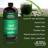 Buried Treasure Liquid Chlorophyll 100 mg, 32oz Spearmint Flavor Dietary Supplement, Intestinal Digestive Support Natural Body Deodorant Vegan Non-GMO Alcohol Free