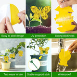 48 Pack Sticky Trap Plants Fruit Fly Trap, Bug Yellow Sticky Traps Killer for Insects, Fungus Gnat Traps for House Plants