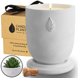 CandlePlanter Concrete Cement Candle Planter - Aromatherapy Candles for Home Scented, Soy Candles - Scented Candle & Dual Purpose Jar Candles, Strong Scented Candles - 8 Oz, 50-Hour Burn