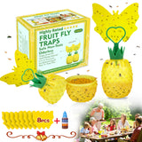 Fruit Fly Trap with Sticker, Effective Fly Catcher Gnat Trap with Yellow Sticky Pads, Gnat Traps for House Indoor with Bait, Safe Non-Toxic Fruit Fly Killer for Home, Plant, Kitchen (2 Pack)