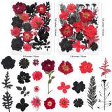 141PCS Black Red Dried Pressed Flowers for Resin - Youthbro Real Nature Flowers Butterfly Stikers Set for Christmas DIY Candle Soap Vase Making Nail Card Scrapbook Art Craft Floral Decors