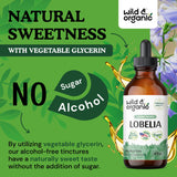 Lobelia Tincture - Organic Lobelia Inflata Liquid Extract - Lobelia Herb Drops Supplement - Vegan, Alcohol Free - 4 fl oz