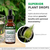 NutraMedix Teasal Extract - Fuller’s Teasel Root (Dipsacus fullonum) Wellness Drops for Antioxidant Support - Vegan Antioxidants Supplement (1oz / 30ml)