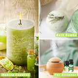 Spring Fragrance Oils, ESSLUX Premium Scented Oils for Home Diffuser, Soap Candle Making Scents, Refreshing Aromatherapy Essential Oil Gift Set, Rose & Lily, Peppermint Grass and More