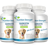 Nutrition Strength Quercetin for Dogs with Bromelain to Support Balanced Immune System, Promote Inflammatory Relief & Antioxidant Activity, Quercetin for Dog Allergies, 120 Chewable Tablets