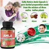 Organic Amla Capsules 2250mg & Arjuna, Garlic |Natural Vitamin C Supplements, High Antioxidants, Rejuvenator |Supports Immunity, Energy Booster |Gluten Free Vegan India Amalaki Extract Fruit, 120 Caps